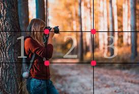 gird line image of lady taking photo using camera